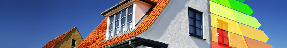 Banner - Stefan Renner