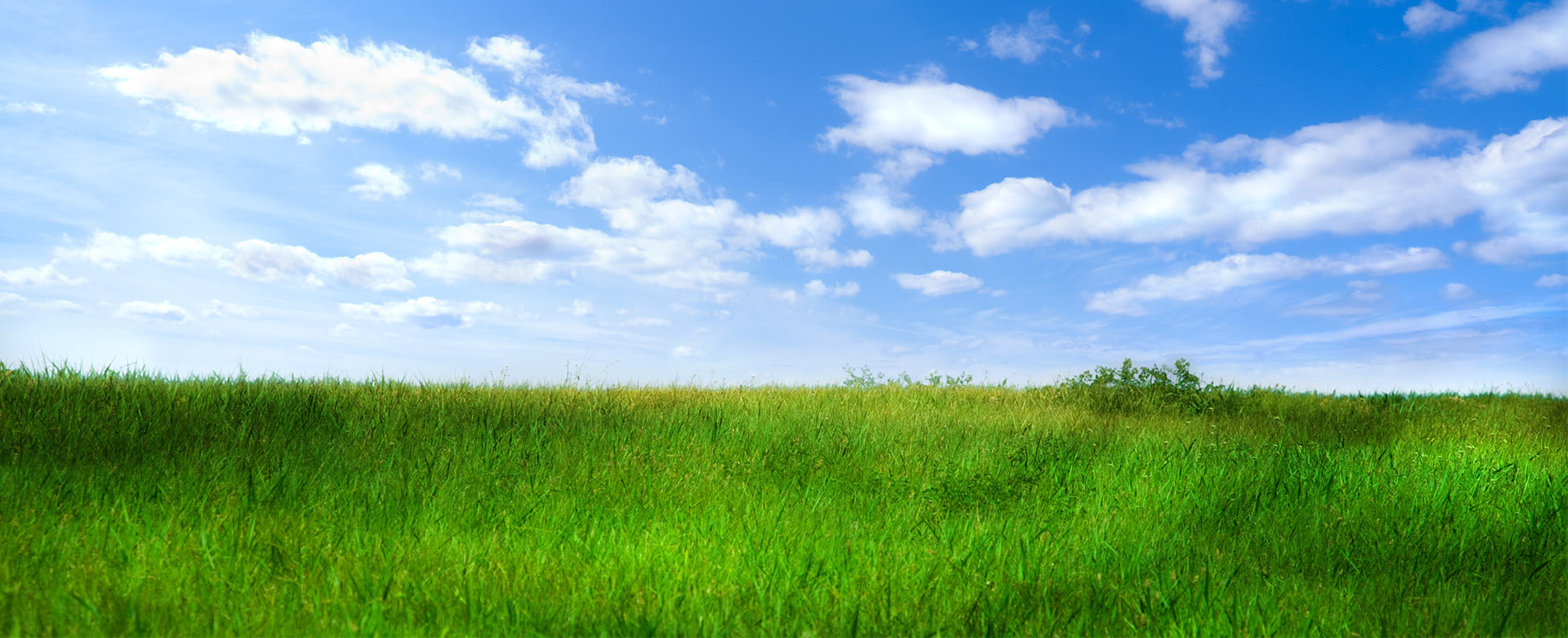 Banner - Stefan Renner